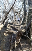 Barb looks down a steep portion of Potawatomi Trail at McNaughton Park in Pekin, Ill.