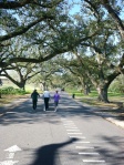 A pair of walkers and a runner make their way around Audubon Park on a trail that circles the park. 