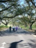 A pair of walkers and a runner make their way around Audubon Park on a trail that circles the park.
