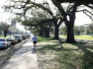 A runner heads down the St. Charles Avenue sidewalk in front of Audubon Park.
