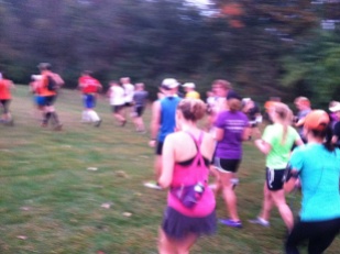 Start of the 2013 Farmdale Trail Run, which was actually held at Jubilee College State Park near Peoria, Ill.