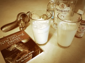 Gin fizz at home