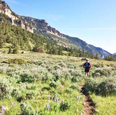 Running the trail in the 2014 Bighorn 52-mile trail run.